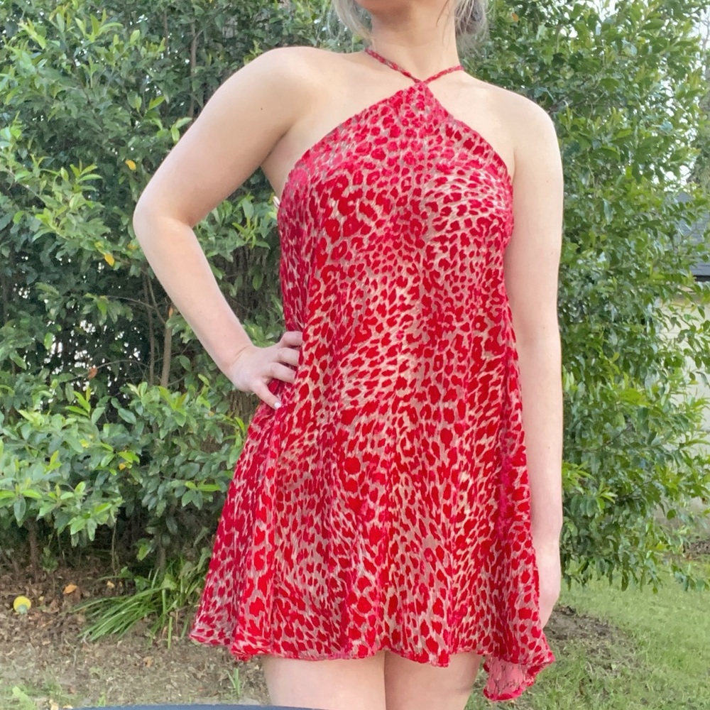 Olivaceous Red Velvet Cheetah Dress